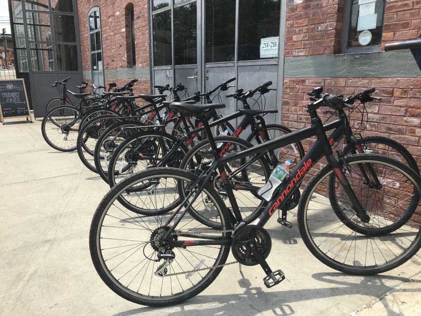 Brooklyn: Half-Day Cycling Tour - Red Hook and the Statue of Liberty views
