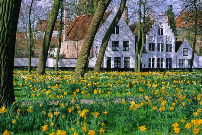 Bruges by bike with friends and family! - Key points to know before booking