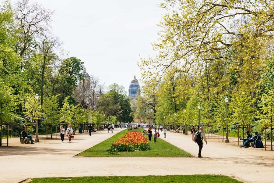 Brussels: City Highlights and Hidden Gems Bike Tour - Hills, traffic, and comfort on the route