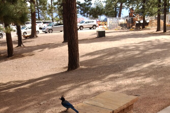 Bryce Canyon E-bike Tour - Starting at Bryce Canyon City