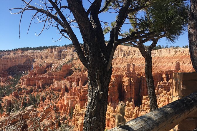 Bryce Canyon E-bike Tour - The guide makes the difference