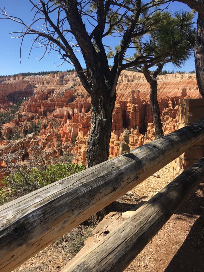 Bryce Canyon National Park: Guided E-Bike Tour - Weather, elevation, and what to pack