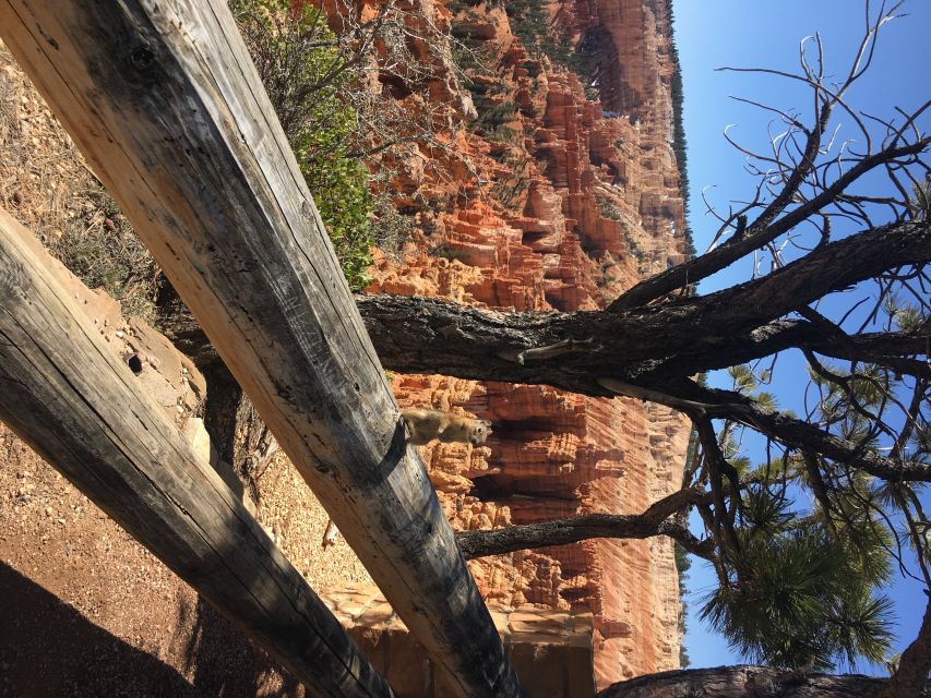 Bryce Canyon National Park: Guided E-Bike Tour - Is $125 a fair price?