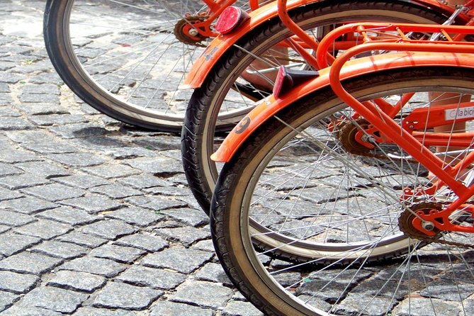 Buenos Aires Bike Tour: San Telmo and La Boca Districts - Is $45 a fair price?