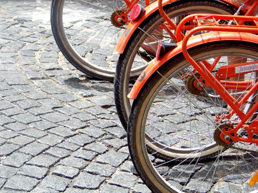 Buenos Aires Bike Tour: South or North Circuit - Who Should Book This Buenos Aires Bike Tour?
