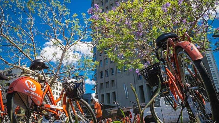Buenos Aires Bike Tour: South or North Circuit - FAQ