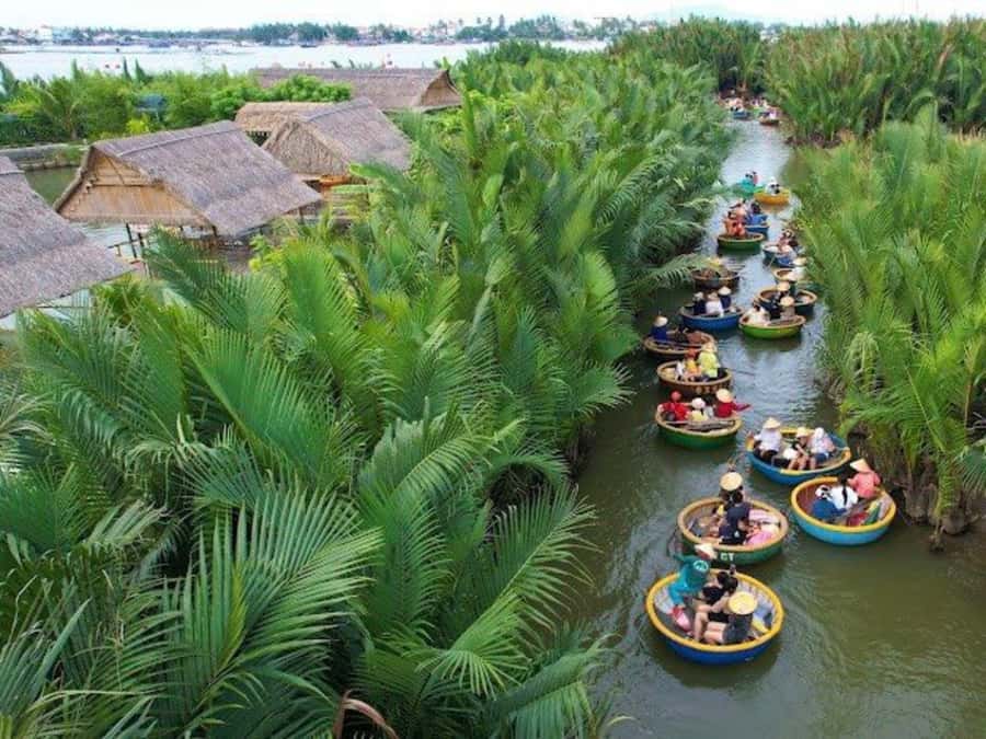 BUFFALO RIDING -BASKET BOAT & BIKE TOUR-HOI AN - The coconut forest and round bamboo boats