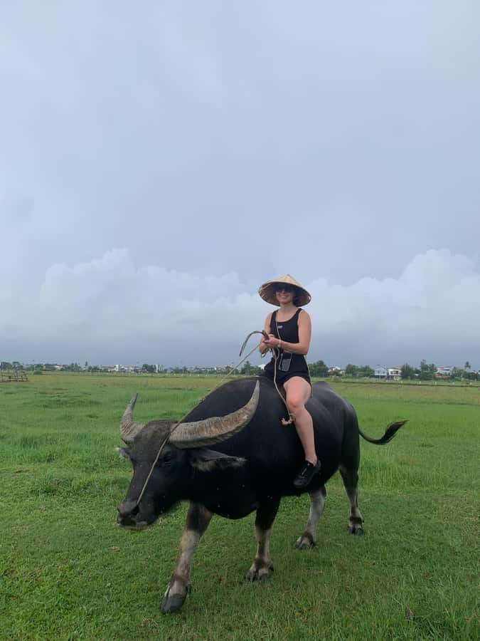 BUFFALO RIDING -BASKET BOAT & BIKE TOUR-HOI AN - What the $29 price really covers