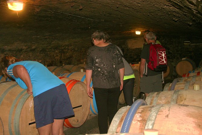 Burgundy Bike Tour with Wine Tasting from Beaune - Key points before you book