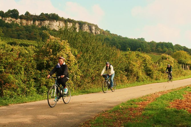Burgundy Bike Tour with Wine Tasting from Beaune - Starting in Beaune at 9:30 a.m.