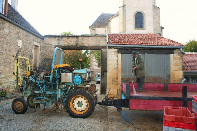 Burgundy Bike Tour with Wine Tasting from Beaune - The final tasting around Pommard, Volnay, or Meursault