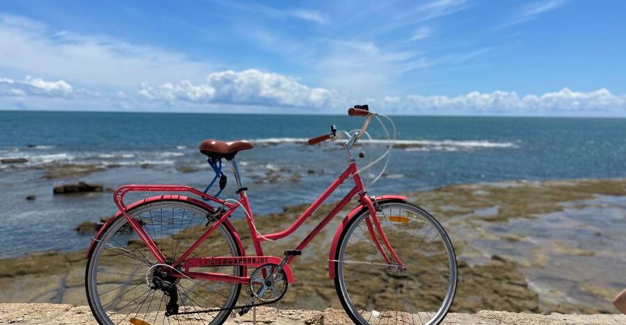 Cadiz: City Bike Tour - Who should book this Cadiz bike tour?