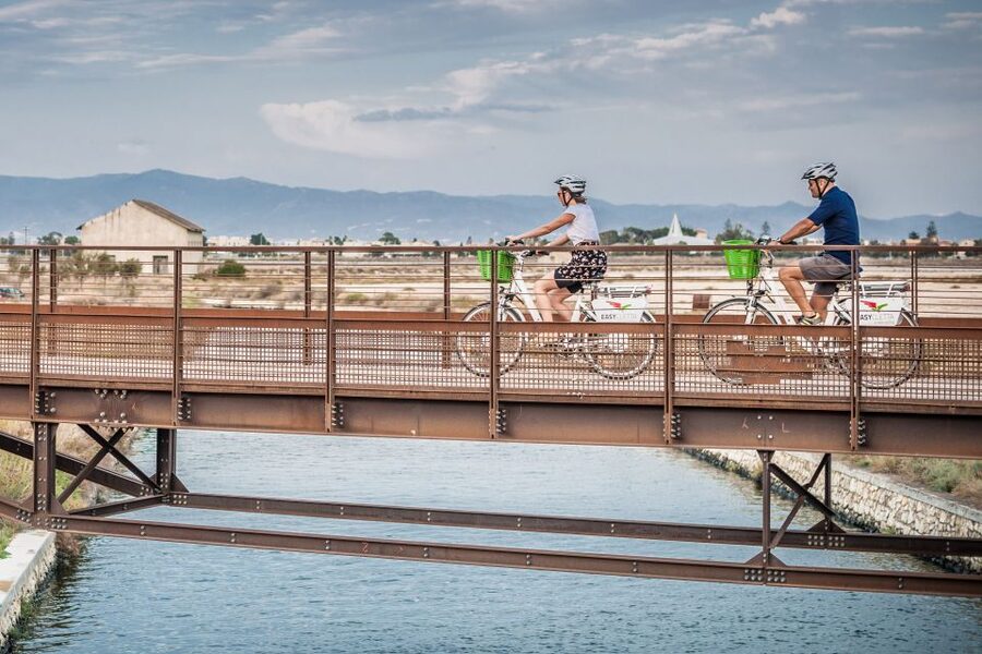 Cagliari E-Bike Tour: Canals & Flamingos at Molentargius - Molentargius Park and the City of Salt