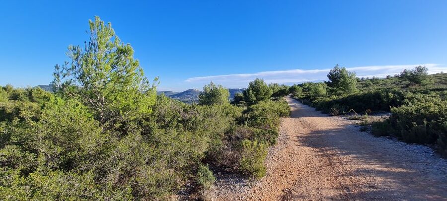 Calanques National Park: E-Mountain Bike with Virtual Guide - Choosing four, six, or eight hours