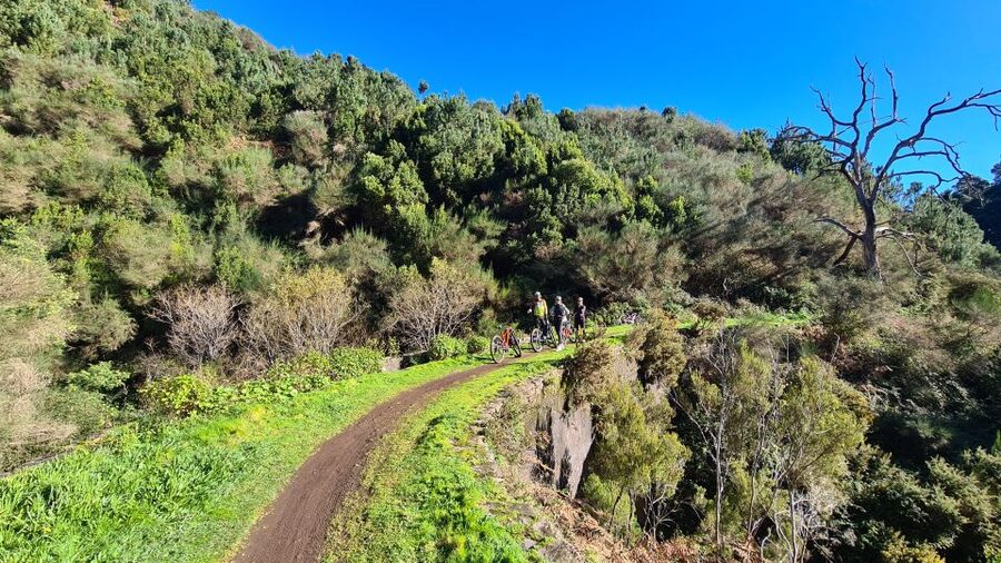 Camacha: Levada Trail e-Bike Guided Tour - The first 90 minutes: Camacha fields and levada forest