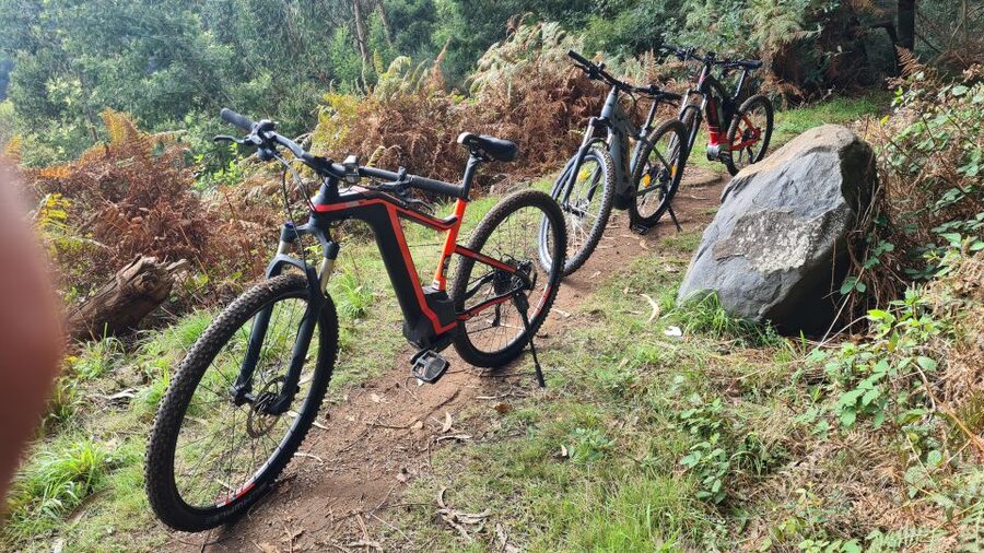 Camacha: Levada Trail e-Bike Guided Tour - Pickup from seven Madeira locations