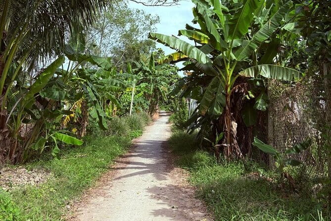 Can Tho Countryside Bike Tour with Fruit Garden Visit - Starting at Ba Láng Eco Garden