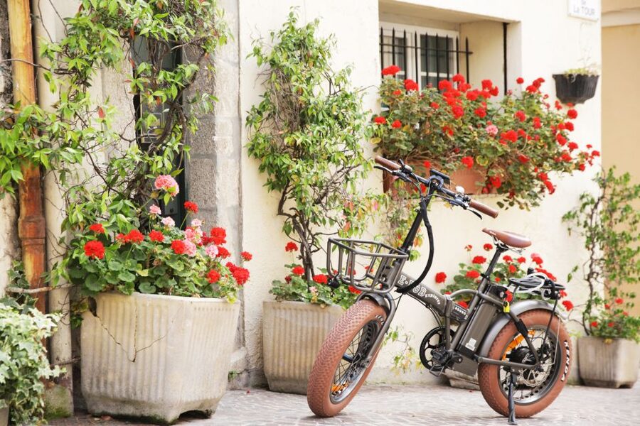 Cannes 2-Hour E-bike Tour - Practical timing for cruise passengers