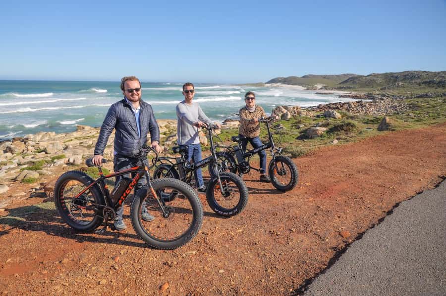 Cape Town: E-Bike Cape Peninsula Tour - Riding through Cape Point Nature Reserve