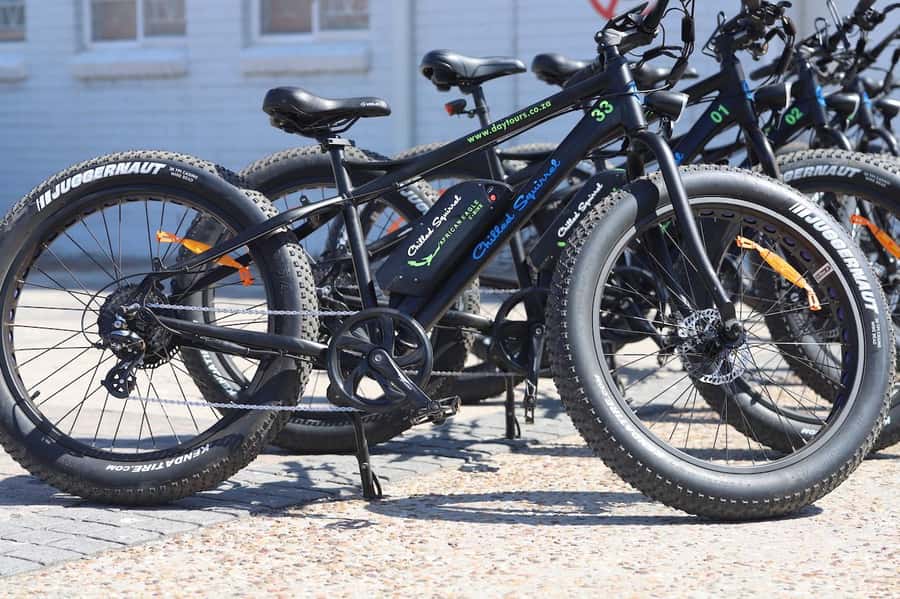 Cape Town: Half-Day e-Bike City Tour - South African Museum and Cape Town’s cultural center