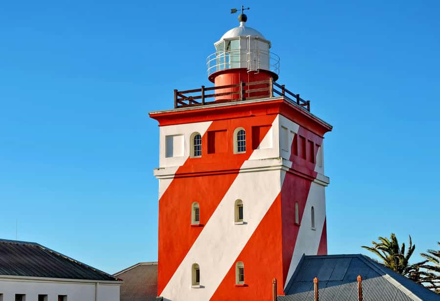 Cape Town: Half-Day e-Bike City Tour - Sea Point’s Walkway and the oldest lighthouse