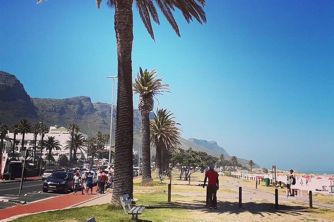 Cape Town's Finest City Bike Tour - What is included, and what the price really buys you