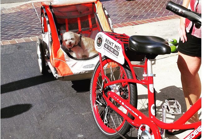 Carlsbad 3-Hour Electric Bike Rental - Leucadia brings coffee, shops, and a small-town feel