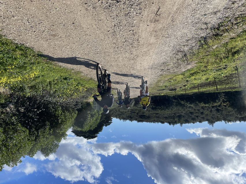 Cascais-Sintra E-bike Tour: Coast & Countryside Adventure - What the $194 price really covers