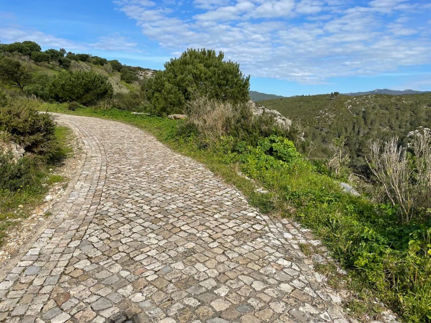 Cascais-Sintra E-bike Tour: Coast & Countryside Adventure - The strongest part of the experience