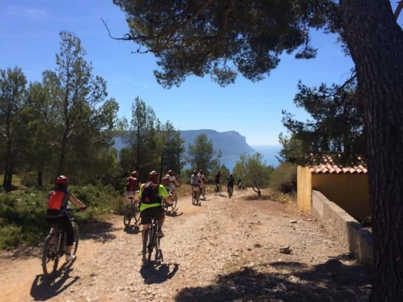 Cassis: Calanques and Viewpoints Tour by Mountain E-Bike - From the vineyard to the Calanques