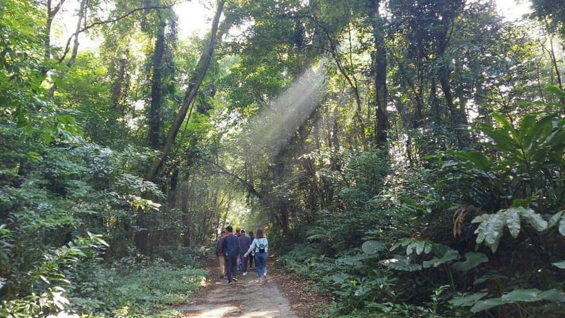 Cat Ba: National Park Day Trip with Cycling and Kayaking - Guide quality and what it changes