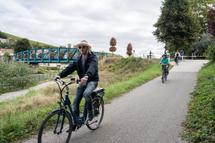 Champagne: E-Bike Champagne Day Tour with Tastings and Lunch - Guide quality and the small-group advantage