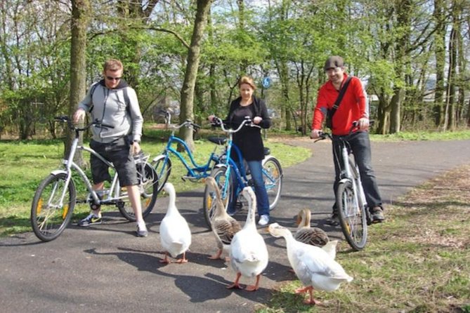 Cheese, Canals & Windmill Countryside E-Bike Tour Amsterdam - Ransdorp and the lowlands beyond the city