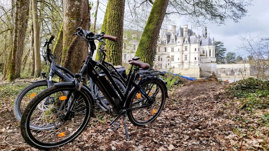 Chenonceau: E-Bike Guided Tour & Gourmet Picnic Lunch - What $94 includes, and where the value lies