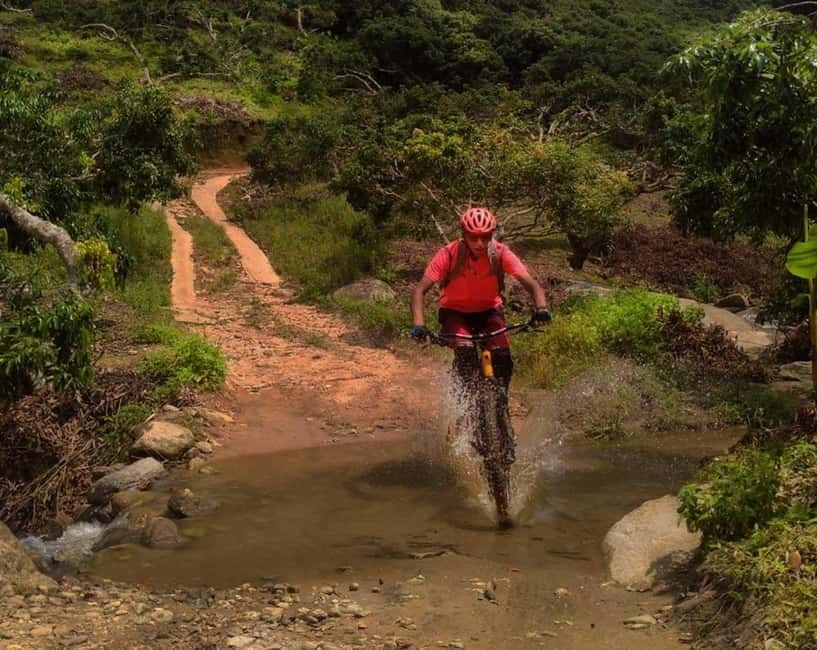 Chiang Mai: 20km Downhill Mountain Biking Challenge Suthep M - A two-hour descent through forest and plantations