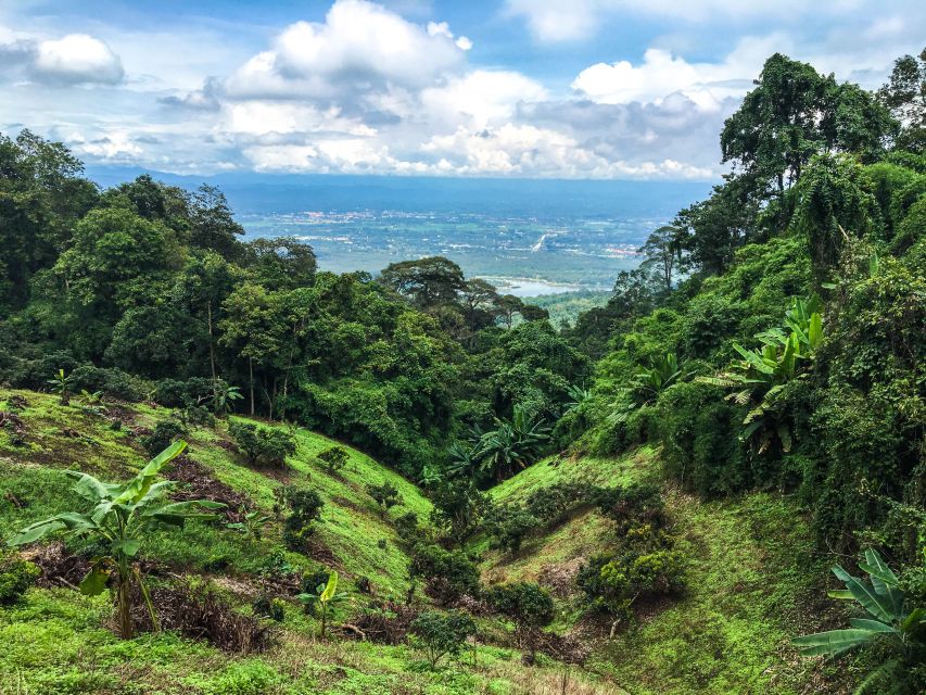 Chiang Mai: 20km Downhill Mountain Biking Challenge Suthep M - Transport, timing, and what the $60 covers