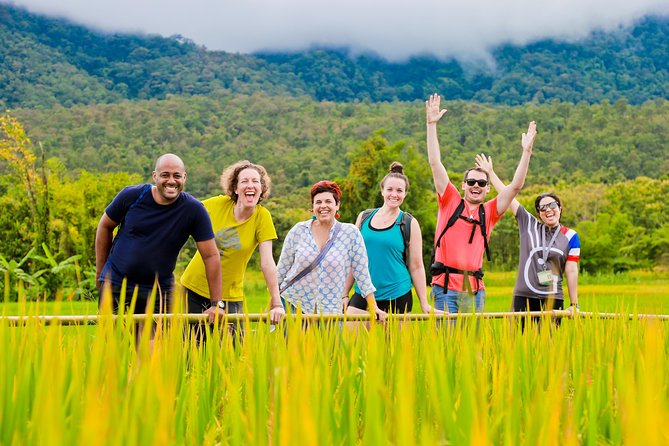 Chiang Mai Active E-bike Countryside Ride - Lamphun temples and the golden chedi