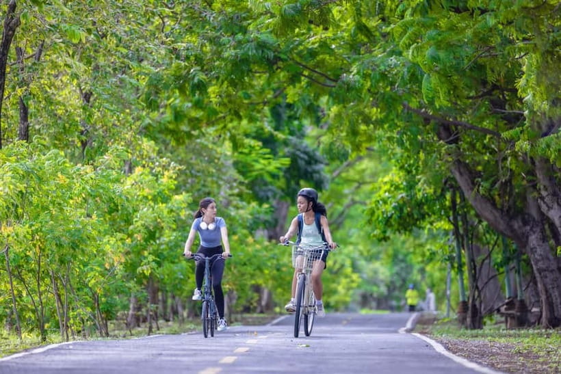 Chiang Mai Bicycle: Into The Lanna Countryside Guided Tour - Who Will Enjoy This Ride Most?