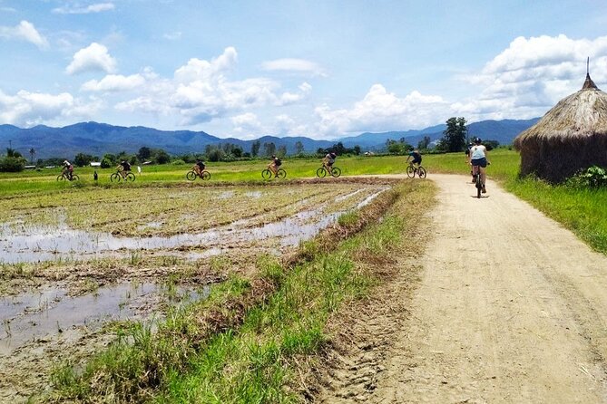 Chiang Mai Biking & River Kayak : Gentle Thrills in a Lush Valley - Kayaking on the Ping River