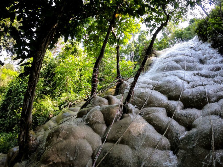 Chiang Mai: Boat Ride and Cycling Tour to Sticky Waterfall - Who should book this cycling day?