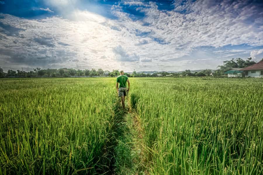 Chiang Mai: Countryside Adventure by Bike - Ban Tawai and the Work of Wood Carving