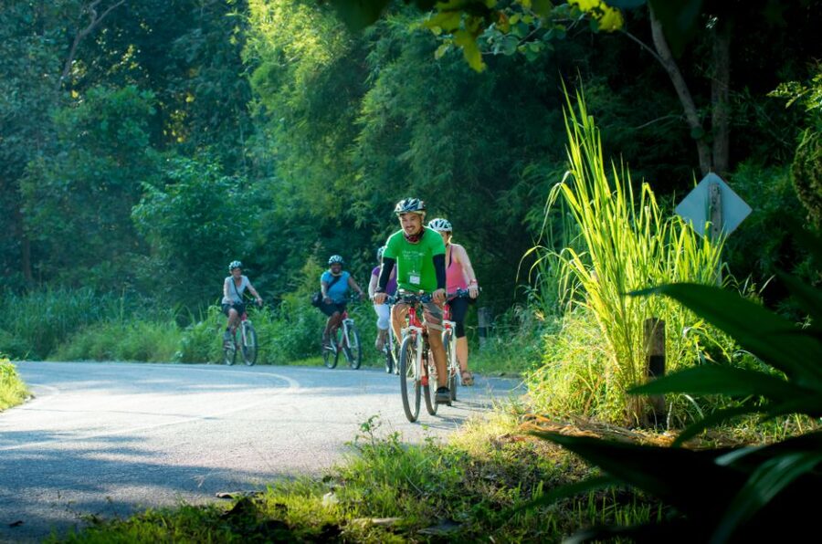 Chiang Mai Countryside E-bike Ride with Expert Guide & Lunch - Orchards, canals, and the first long ride