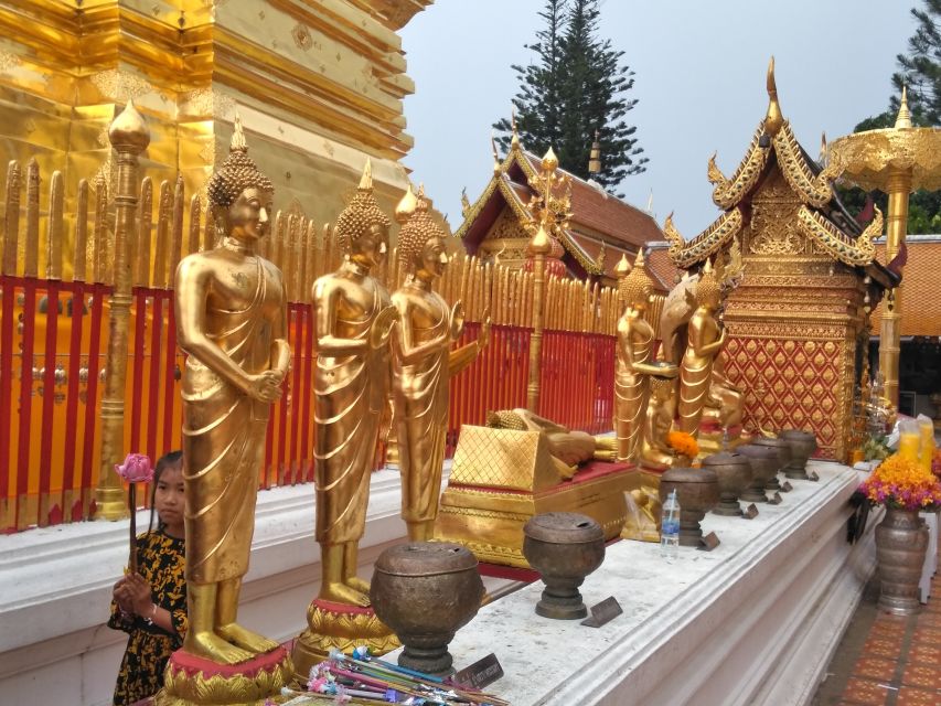 Chiang Mai: Doi Suthep National Park Leisure Hiking & Biking - The downhill bike ride: fun, but read the road conditions
