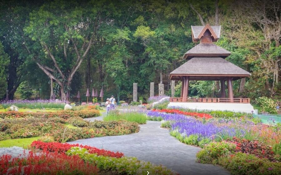 Chiang Mai: Doi Suthep National Park Leisure Hiking & Biking - Guides, languages, and the small-group advantage