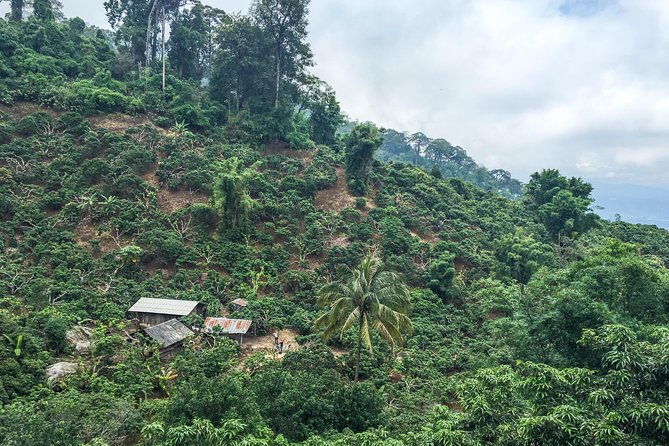 Chiang mai Hike & Downhill Bike Adventure –Suthep National Park - The downhill ride through Doi Suthep-Pui National Park