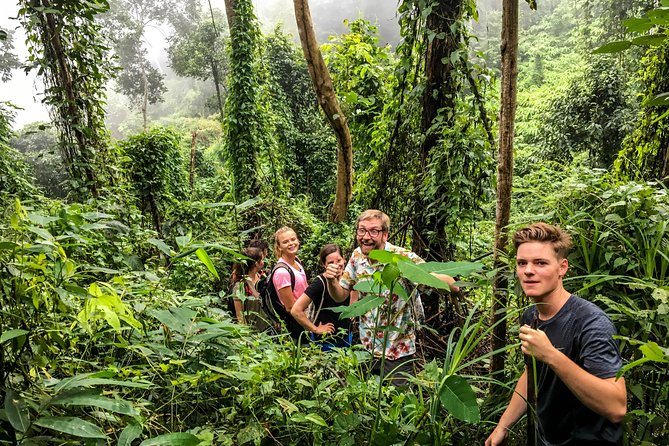 Chiang mai Hike & Downhill Bike Adventure –Suthep National Park - Food, safety, and equipment