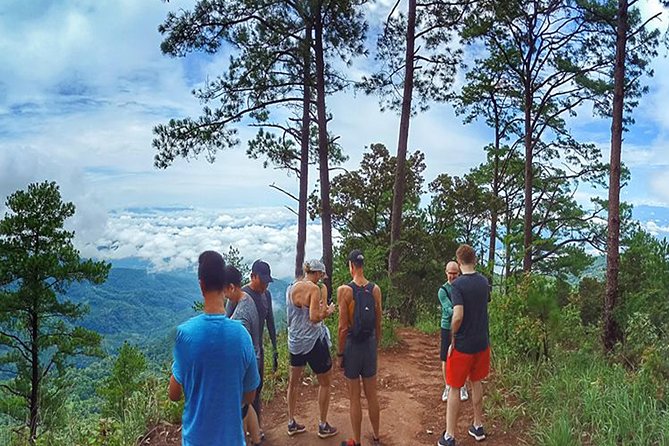 Chiang mai Hike & Downhill Bike Adventure –Suthep National Park - Is $75.01 good value?