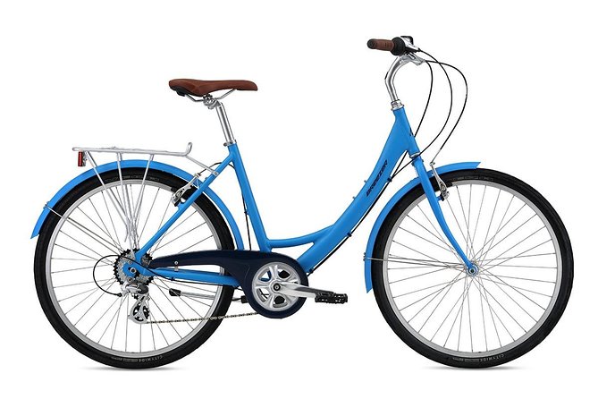 Chicago Full Day Bike Rental - Navy Pier and the north end of the lakefront
