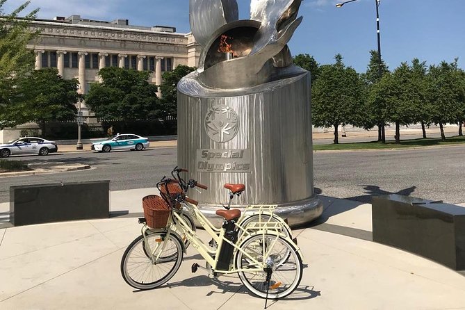 Chicago Lakefront Electric Bike Tour - Meeting Sue at the Field Museum