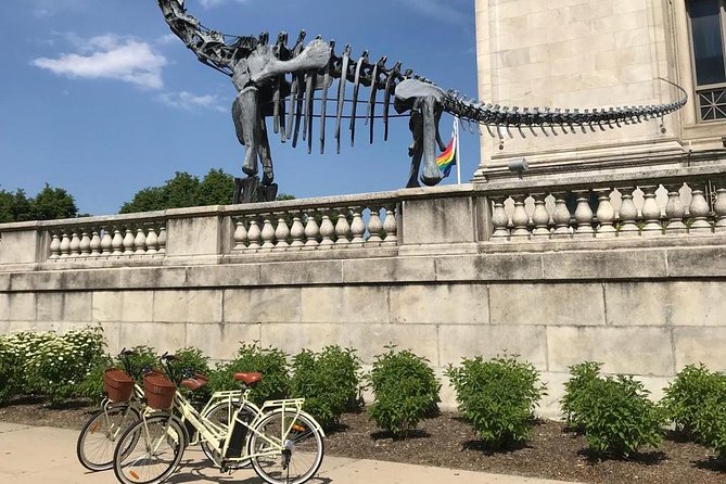 Chicago Lakefront Electric Bike Tour - Skyline photographs at Adler Planetarium